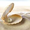 pearlsofheaven